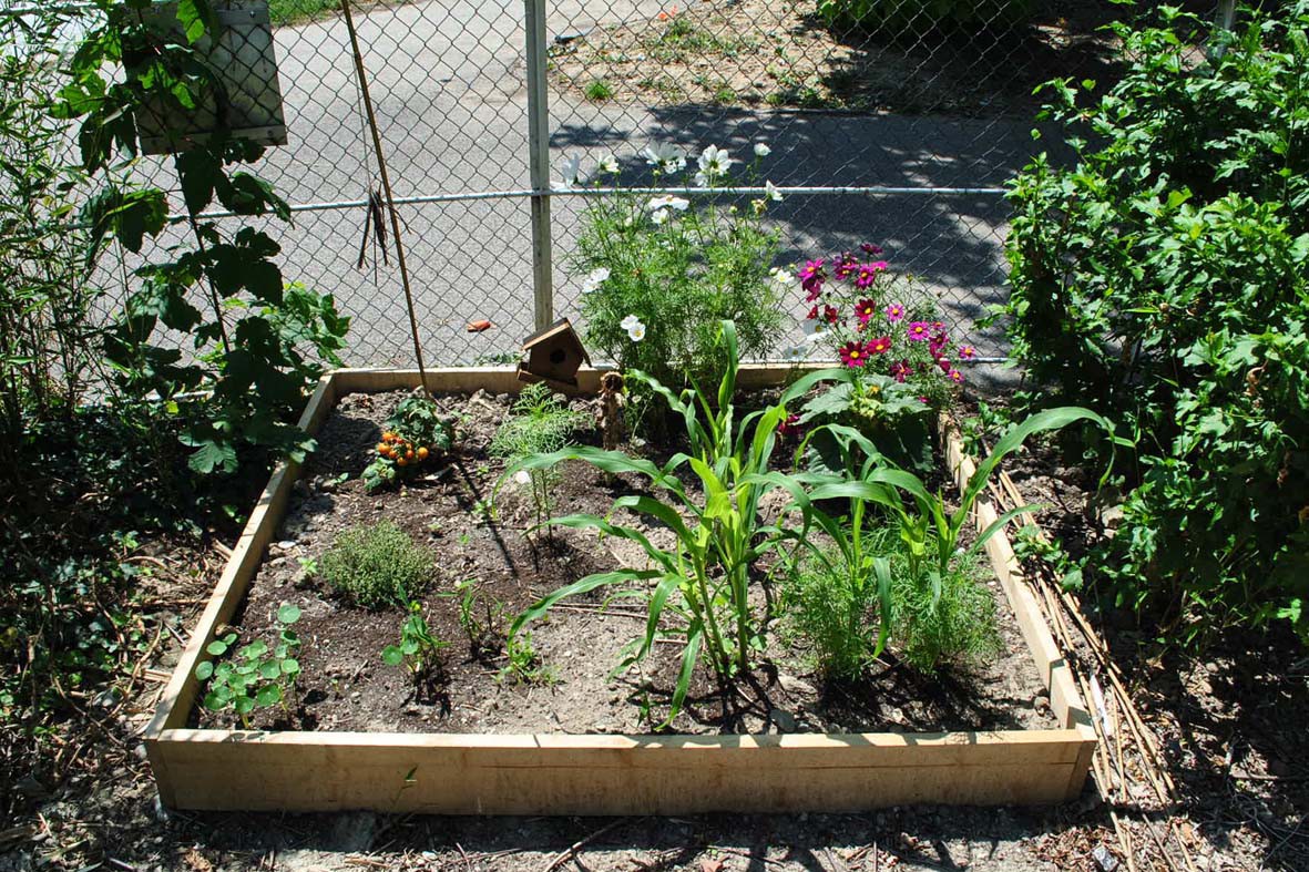jardin potager de la Baleine